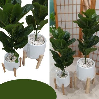 กระถางเบลล่า7-9นิ้วพร้อมขาตั้งไม้ Bella 7-9-inch pot with wooden stand กระถางเบลล่า7-9นิ้วพร้อมขาตั้งไม้ Bella 7-9-inch pot with wooden stand
