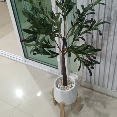 ต้นมะกอกโอลีฟปลอมประดิษฐ์ Artificial / Fake Olive Tree