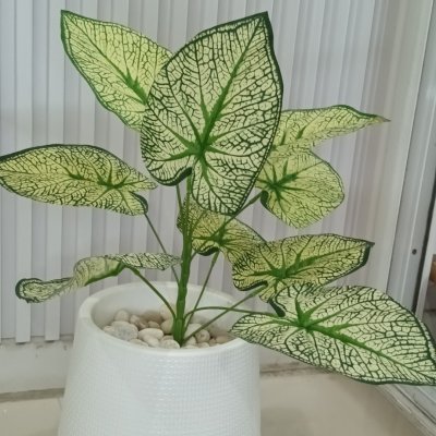 ต้นไม้ปลอมประดิษฐ์ใบลายสวยกระถางเบลล่า 7 นิ้วขาตั้ง Artificial tree in a Bella pot with a stand