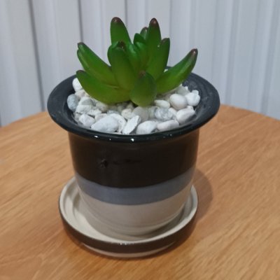 แคคตัสปลอมต้นไม้ประดิษฐ์ในกระถางเซรามิก Artificial cactus in a ceramic pot.