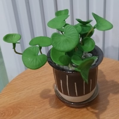 ต้นไม้ปลอมประดิษฐ์ขนาดเล็กในกระถางเซรามิก Small artificial plant in a ceramic pot.