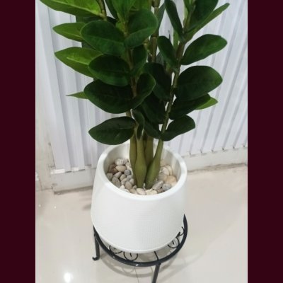 ต้นกวักมรกตประดิษฐ์/ปลอม Artificial ZZ Plant