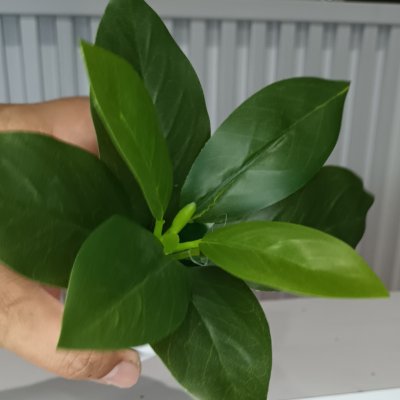 ต้นไม้ปลอมขนาดเล็กกระถางพลาสติกสีขาว 3 นิ้ว Small artificial plant