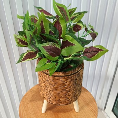ต้นไม้ปลอมต้นไม้ประดิษฐ์ใบสวยงามเหมือนจริงแต่งบ้านแต่งร้าน Artificial plant, beautiful realistic leaves