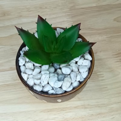แคคตัสปลอมต้นไม้ประดิษฐ์ในกระถางเซรามิก Artificial cactus in a ceramic pot.