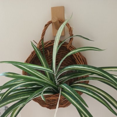 ต้นเศรษฐีเรือนนอกปลอมประดิษฐ์ตะกร้าสาน Artificial plant in woven basket