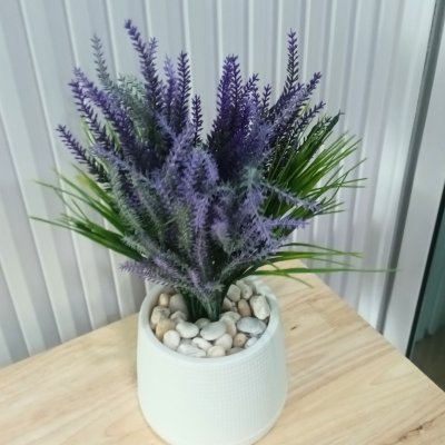 ช่อดอกลาเวนเดอร์ปลอมในกระถางเบลล่าสีขาว5นิ้ว Artificial lavender in Bella plastic pot