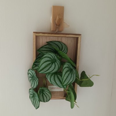 ต้นไม้เลื้อยปลอมประดิษฐ์บนกรอบไม้ artificial vine mounted on a wooden frame