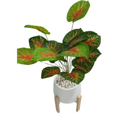 ต้นบอนสีปลอมขนาดใหญ่เหมือนจริง Artificial / Fake Fancy Leaf Caladium Plant