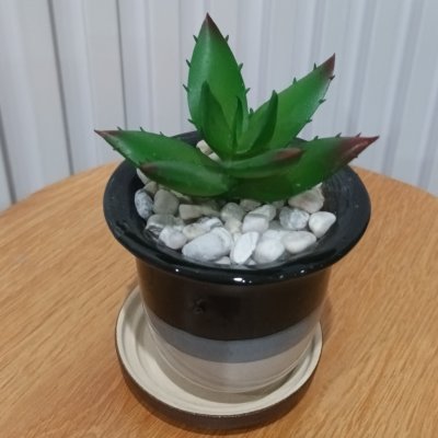 แคคตัสปลอมต้นไม้ประดิษฐ์ในกระถางเซรามิก Artificial cactus in a ceramic pot.