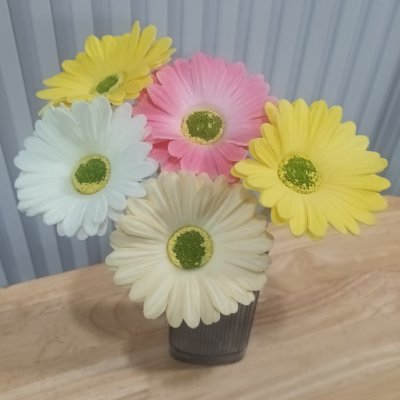 ช่อดอกเยอบีร่าในกระถางเบลล่า 5 นิ้ว ขาตั้งไม้ Gerbera flower bouquet in a 5-inch Bella pot.