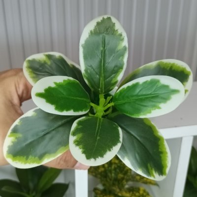 ต้นไม้ปลอมขนาดเล็กกระถางพลาสติกสีขาว 3 นิ้ว Small artificial plant