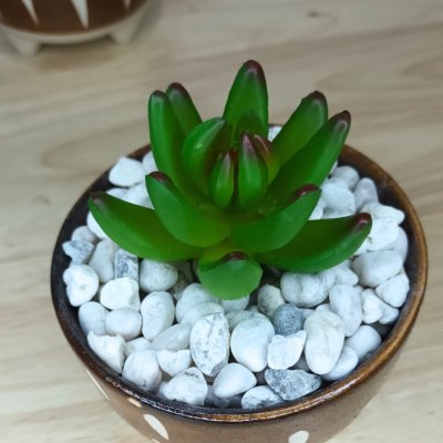 แคคตัสปลอมต้นไม้ประดิษฐ์ในกระถางเซรามิก Artificial cactus in a ceramic pot.