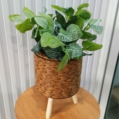 ต้นไม้ปลอมต้นไม้ประดิษฐ์ใบสวยงามเหมือนจริงแต่งบ้านแต่งร้าน Artificial plant, beautiful realistic leaves