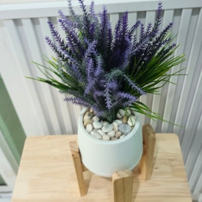 ช่อดอกลาเวนเดอร์ปลอมในกระถางเบลล่าสีขาว5นิ้ว Artificial lavender in Bella plastic pot