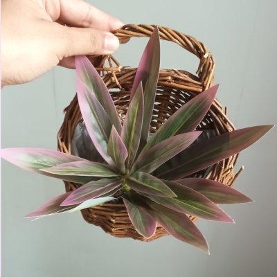 ต้นไม้ปลอมประดิษฐ์ใบสวยตะกร้าสาน Artificial plant in woven basket