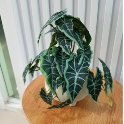 ต้นไม้เลื้อยปลอมในกระถางดินเผาทรงนมวัว Artificial vine plant in cow-shaped ceramic pot.