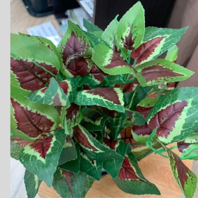 ต้นไม้ปลอมต้นไม้ประดิษฐ์ใบสวยงามเหมือนจริงแต่งบ้านแต่งร้าน Artificial plant, beautiful realistic leaves