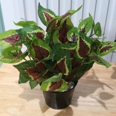 ต้นไม้ปลอมต้นไม้ประดิษฐ์ใบสวยงามเหมือนจริงแต่งบ้านแต่งร้าน Artificial plant, beautiful realistic leaves