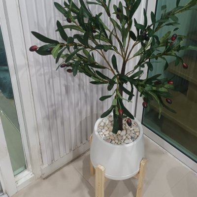 ต้นมะกอกโอลีฟปลอมประดิษฐ์ Artificial / Fake Olive Tree