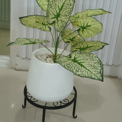 ต้นไม้ปลอมประดิษฐ์ใบลายสวยกระถางเบลล่า 7 นิ้วขาตั้ง Artificial tree in a Bella pot with a stand