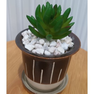 แคคตัสปลอมต้นไม้ประดิษฐ์ในกระถางเซรามิก Artificial cactus in a ceramic pot.