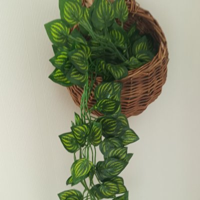 ต้นไม้เลื้อยปลอมประดิษฐ์ในตะกร้าหวายแขวนผนัง Artificial climbing plant in a wicker basket.