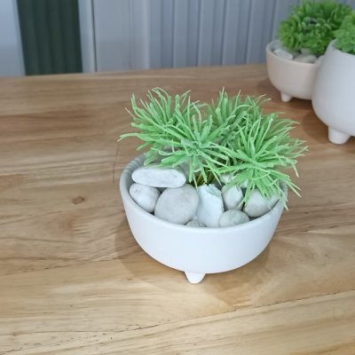 แคคตัสไม้อวบน้ำปลอม Artificial succulent cactus.