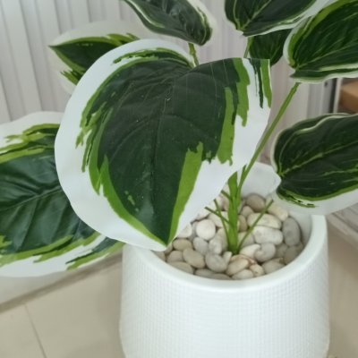 ต้นไม้ปลอมประดิษฐ์ใบลายสวยกระถางเบลล่า 7 นิ้วขาตั้ง Artificial tree in a Bella pot with a stand