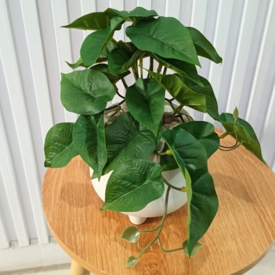 ต้นไม้เลื้อยปลอมในกระถางดินเผาทรงนมวัว Artificial vine plant in cow-shaped ceramic pot.