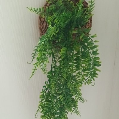 ต้นไม้เลื้อยปลอมประดิษฐ์ในตะกร้าหวายแขวนผนัง Artificial climbing plant in a wicker basket.