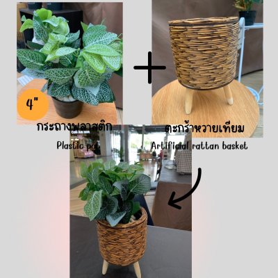ต้นไม้ปลอมต้นไม้ประดิษฐ์ใบสวยงามเหมือนจริงแต่งบ้านแต่งร้าน Artificial plant, beautiful realistic leaves