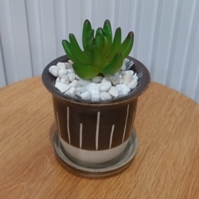 แคคตัสปลอมต้นไม้ประดิษฐ์ในกระถางเซรามิก Artificial cactus in a ceramic pot.