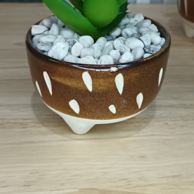 แคคตัสปลอมต้นไม้ประดิษฐ์ในกระถางเซรามิก Artificial cactus in a ceramic pot.