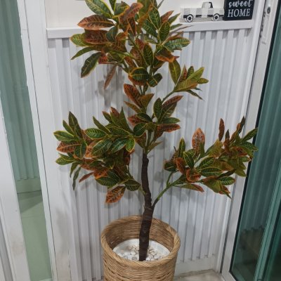 ต้นโกสนปลอมต้นไม้ประดิษฐ์ Artificial / Fake Croton Tree