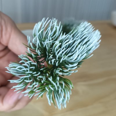 แคคตัสไม้อวบน้ำปลอม Artificial succulent cactus.