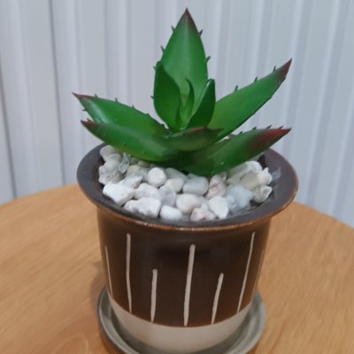 แคคตัสปลอมต้นไม้ประดิษฐ์ในกระถางเซรามิก Artificial cactus in a ceramic pot.