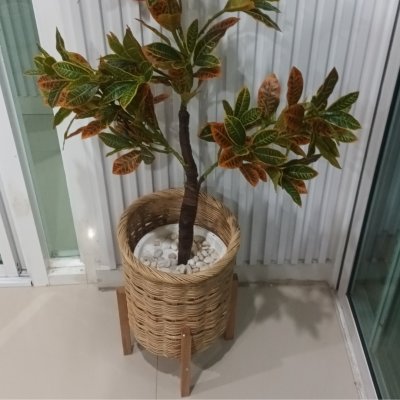 ต้นโกสนปลอมต้นไม้ประดิษฐ์ Artificial / Fake Croton Tree