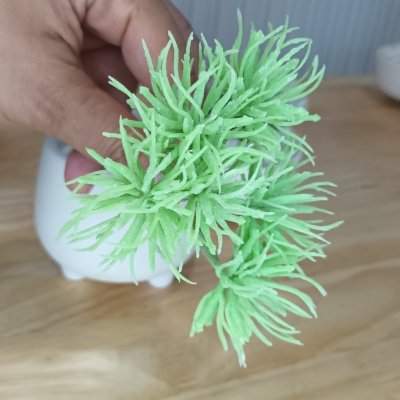 แคคตัสไม้อวบน้ำปลอม Artificial succulent cactus.