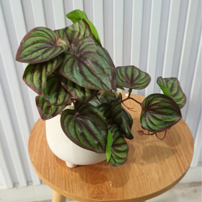 ต้นไม้เลื้อยปลอมในกระถางดินเผาทรงนมวัว Artificial vine plant in cow-shaped ceramic pot.