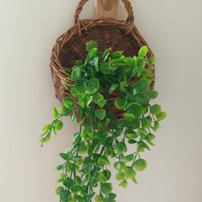 ต้นไม้เลื้อยปลอมประดิษฐ์ในตะกร้าหวายแขวนผนัง Artificial climbing plant in a wicker basket.