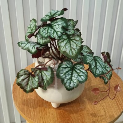 ต้นไม้เลื้อยปลอมในกระถางดินเผาทรงนมวัว Artificial vine plant in cow-shaped ceramic pot.