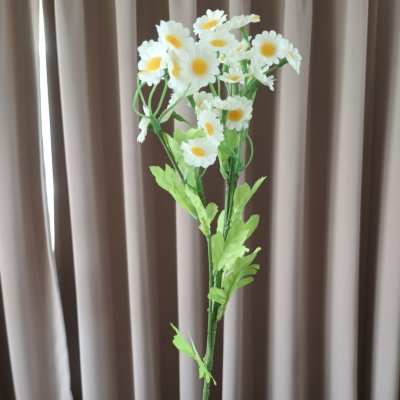 ดอกคาโมมายล์ปลอม Artificial white chamomile flower.