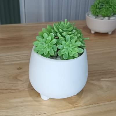 แคคตัสไม้อวบน้ำปลอม Artificial succulent cactus.