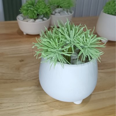 แคคตัสไม้อวบน้ำปลอม Artificial succulent cactus.