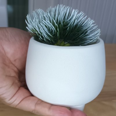 แคคตัสไม้อวบน้ำปลอม Artificial succulent cactus.