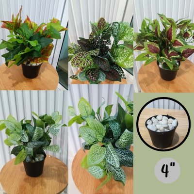 ต้นไม้ปลอมต้นไม้ประดิษฐ์ใบสวยกระถาง4นิ้ว Artificial plant, beautiful realistic leaves