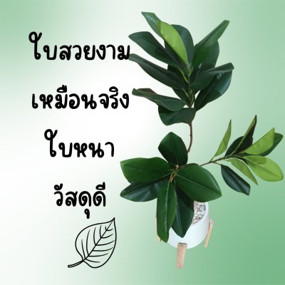 ต้นยางอินเดียปลอมในกระถางเบลล่า 9 นิ้ว :: Artificial Rubber Plant