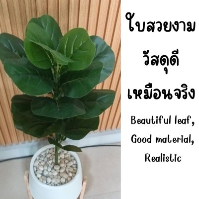 ต้นไทรใบสักปลอมขนาดใหญ่เหมือนจริง Artificial / Fake Fiddle Leaf Fig plant
