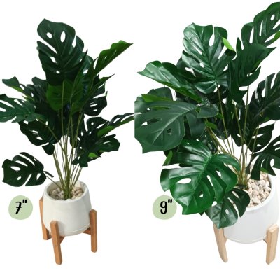 ต้นมอนสเตอร่าปลอมขนาดใหญ่เหมือนจริง | Artificial / Fake Monstera Plant